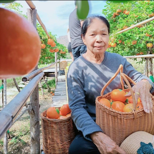 Customer testimonial